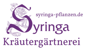 syringa-pflanzen.de Logo : herboristerie avec police violette et motif de plantes. Page d'accueil.