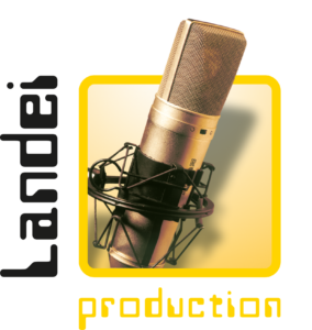 Mikrofon für Jubiläums-Song Produktion. Professionelle Aufnahme für Ihren Song.