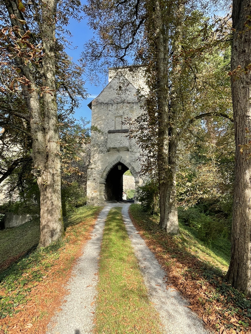 Historisches Burgtor am Weg, umrahmt von Bäumen im Herbstlaub. Einladung zur Reise in die Vergangenheit.