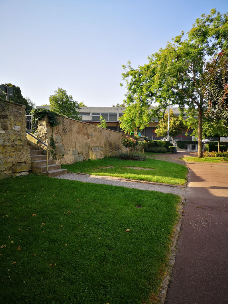 Grüne Parkanlage mit Steinmauer und Treppe. Bäume spenden Schatten, ideal für einen Spaziergang im Grünen.