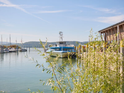 Super Kombi "Radolfzeller Entdeckertour"