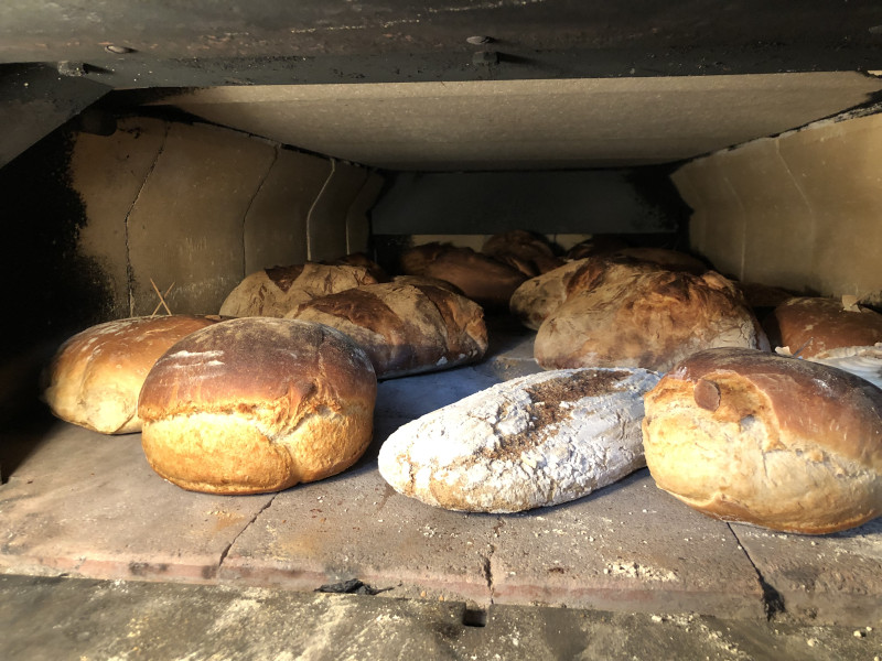 Fabrication et dégustation de pain au « Mögginger Backhüsle » et visite guidée du jardin communautaire